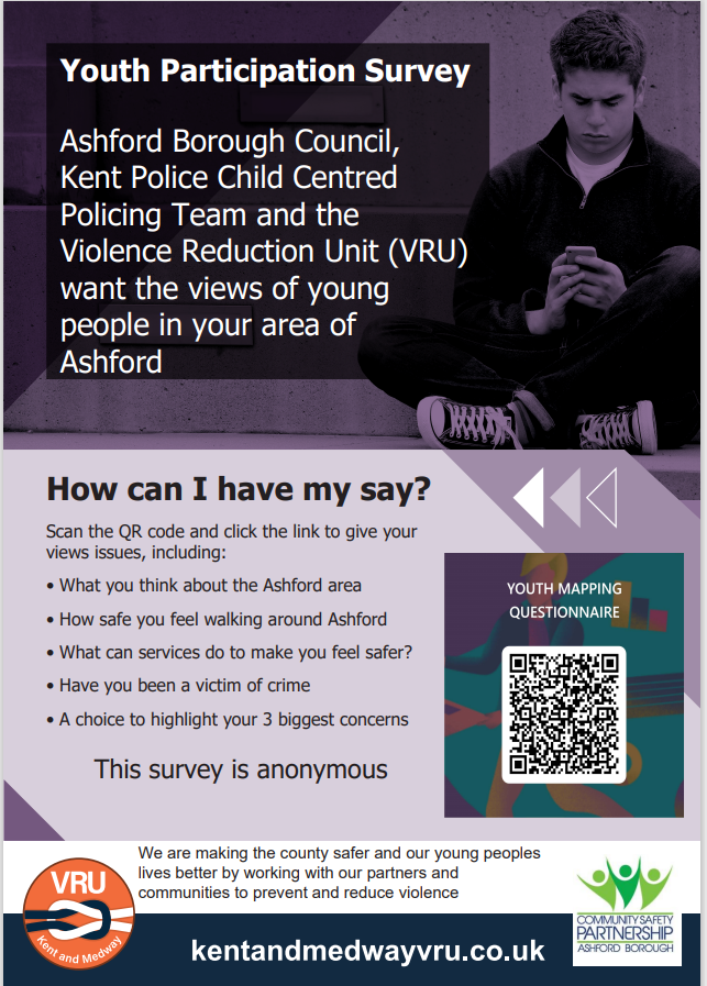 Youth Participation Survey Poster